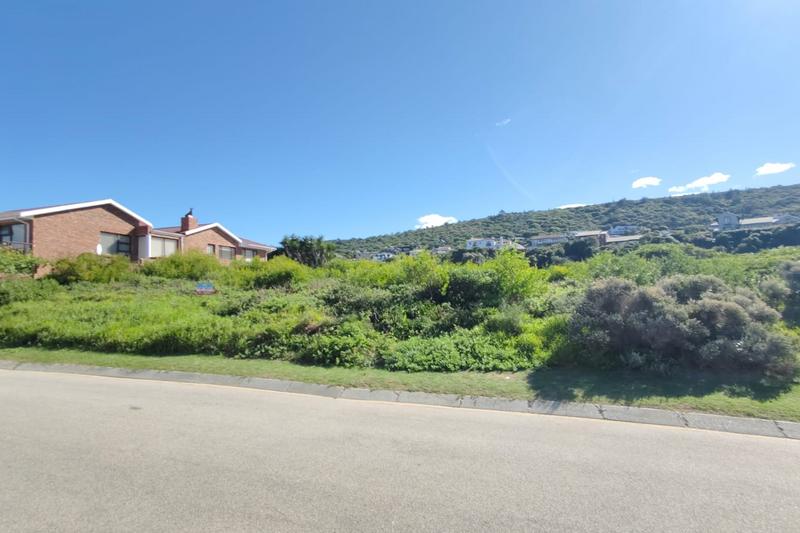 0 Bedroom Property for Sale in Outeniqua Strand Western Cape